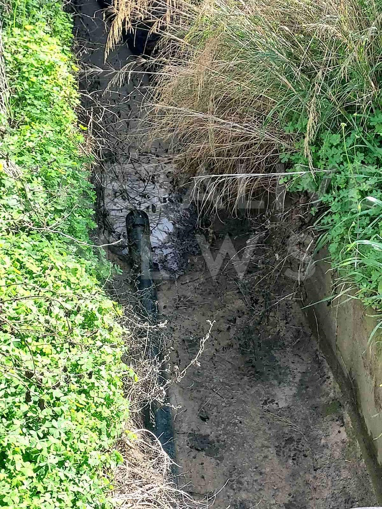 Ελαιουργείο δολιοφθορά