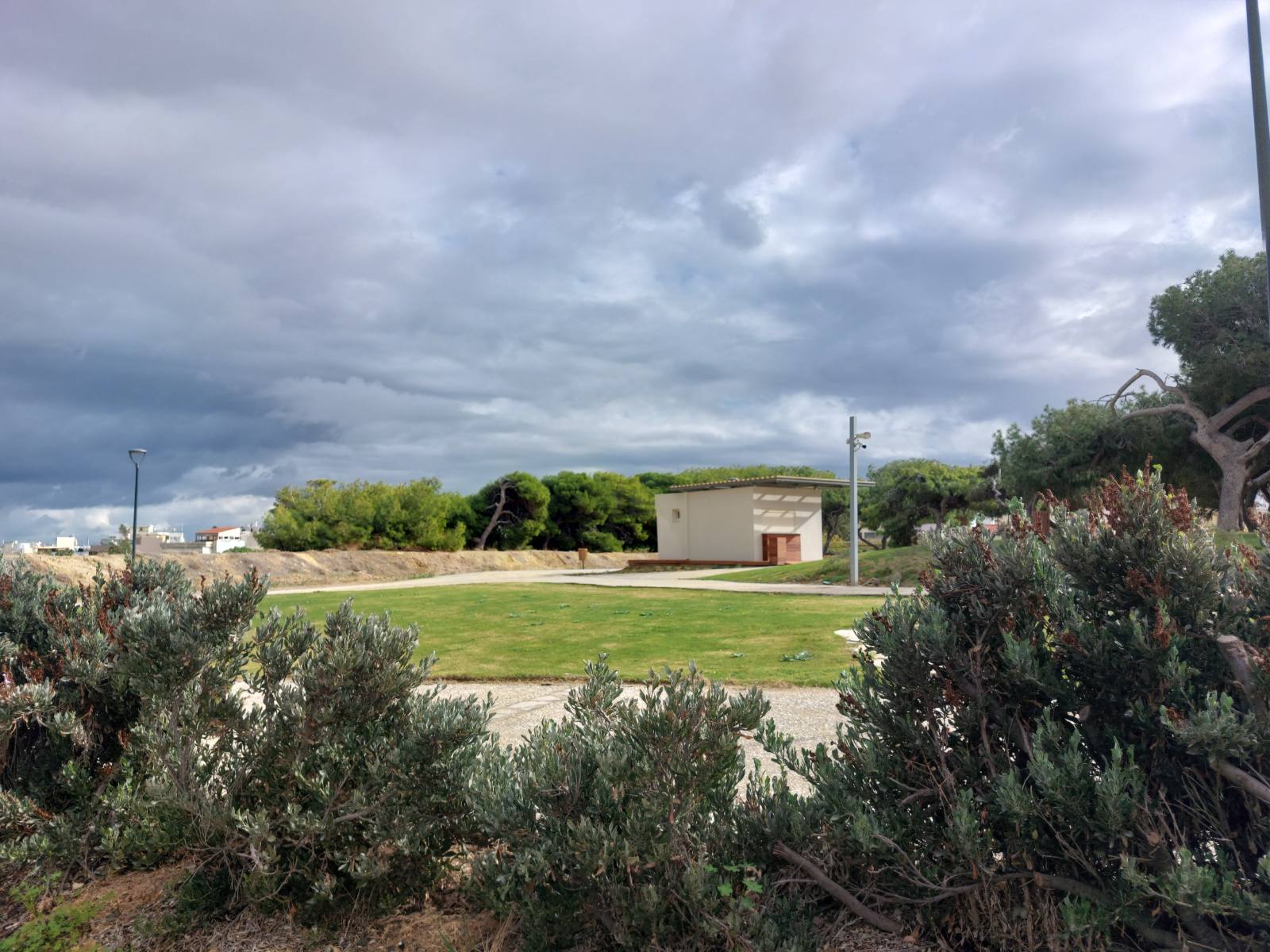 enetika teixi anapsyktirio3