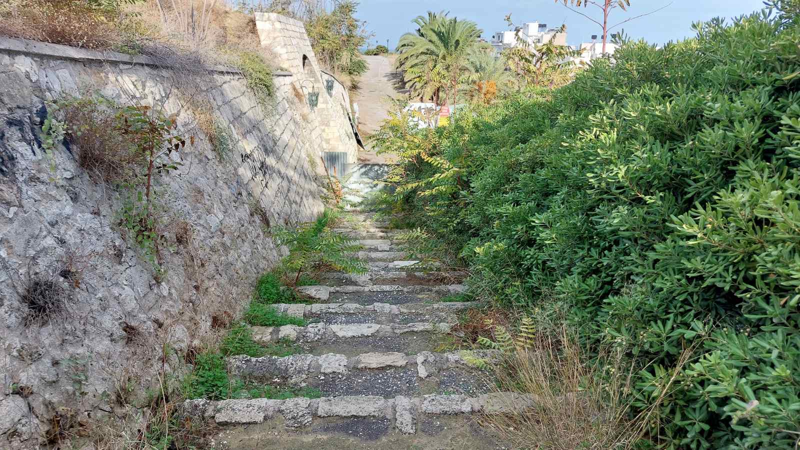 enetika teixi skalia