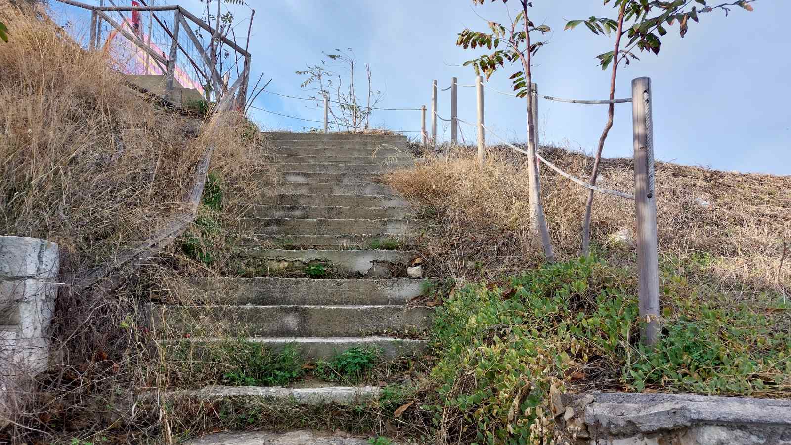 enetika teixi skalia2