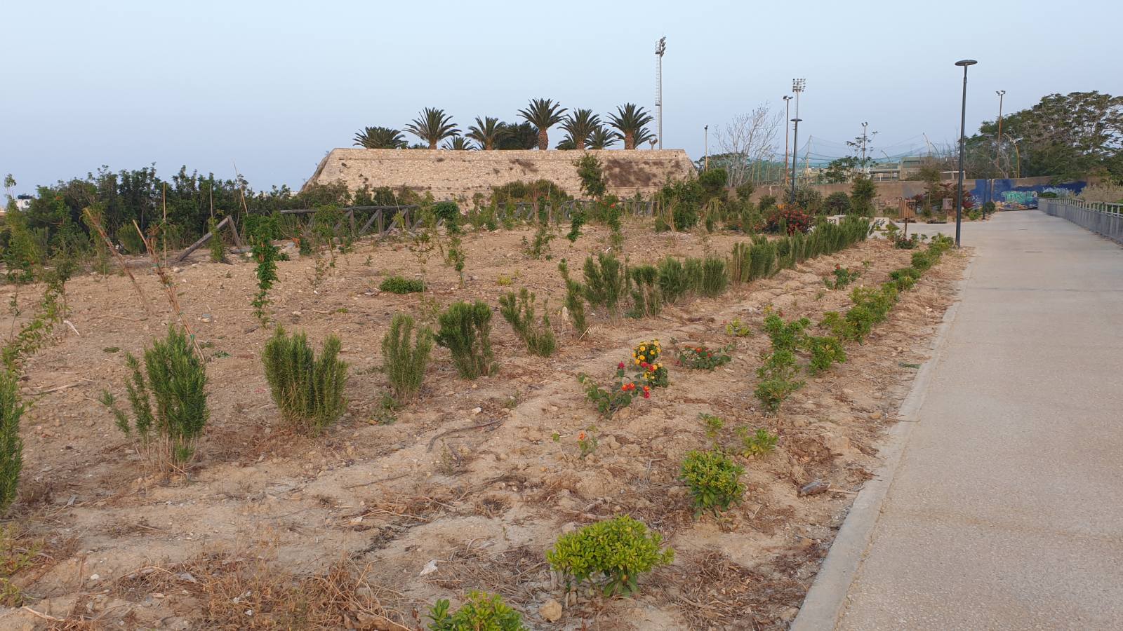 enetika teixi.........