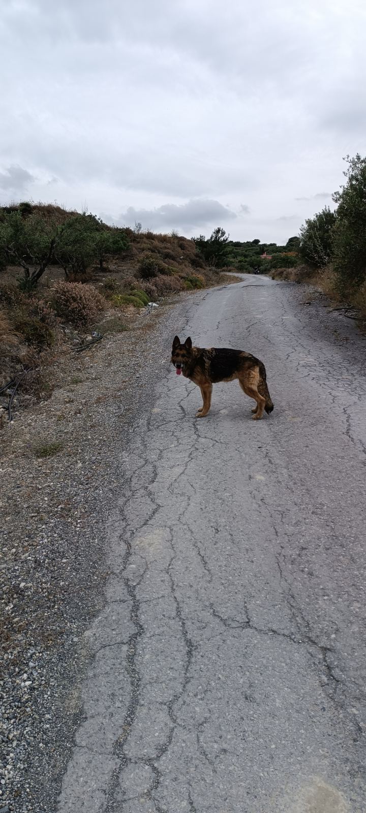 Εντοπισμός αγνοούμενη