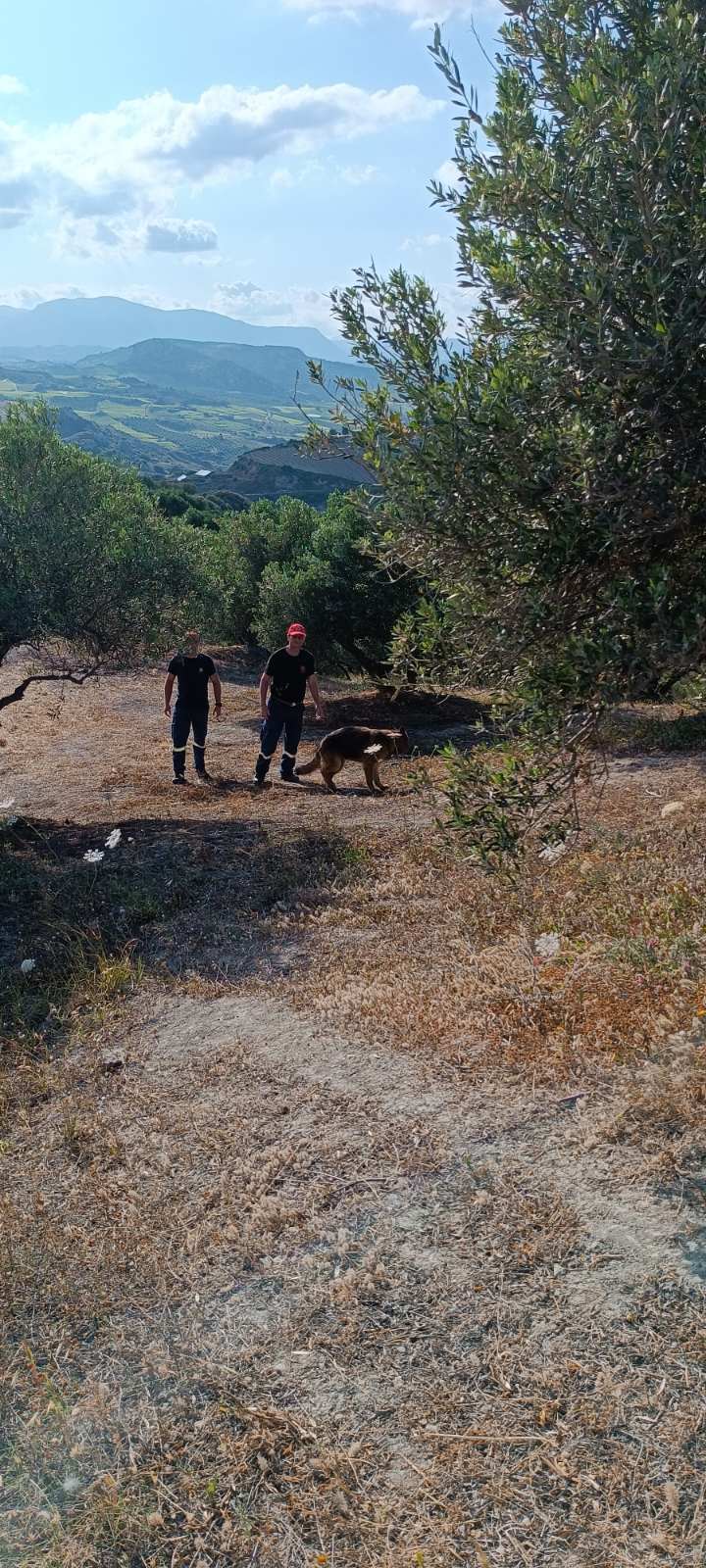 Αγνοούμενη εντοπισμός
