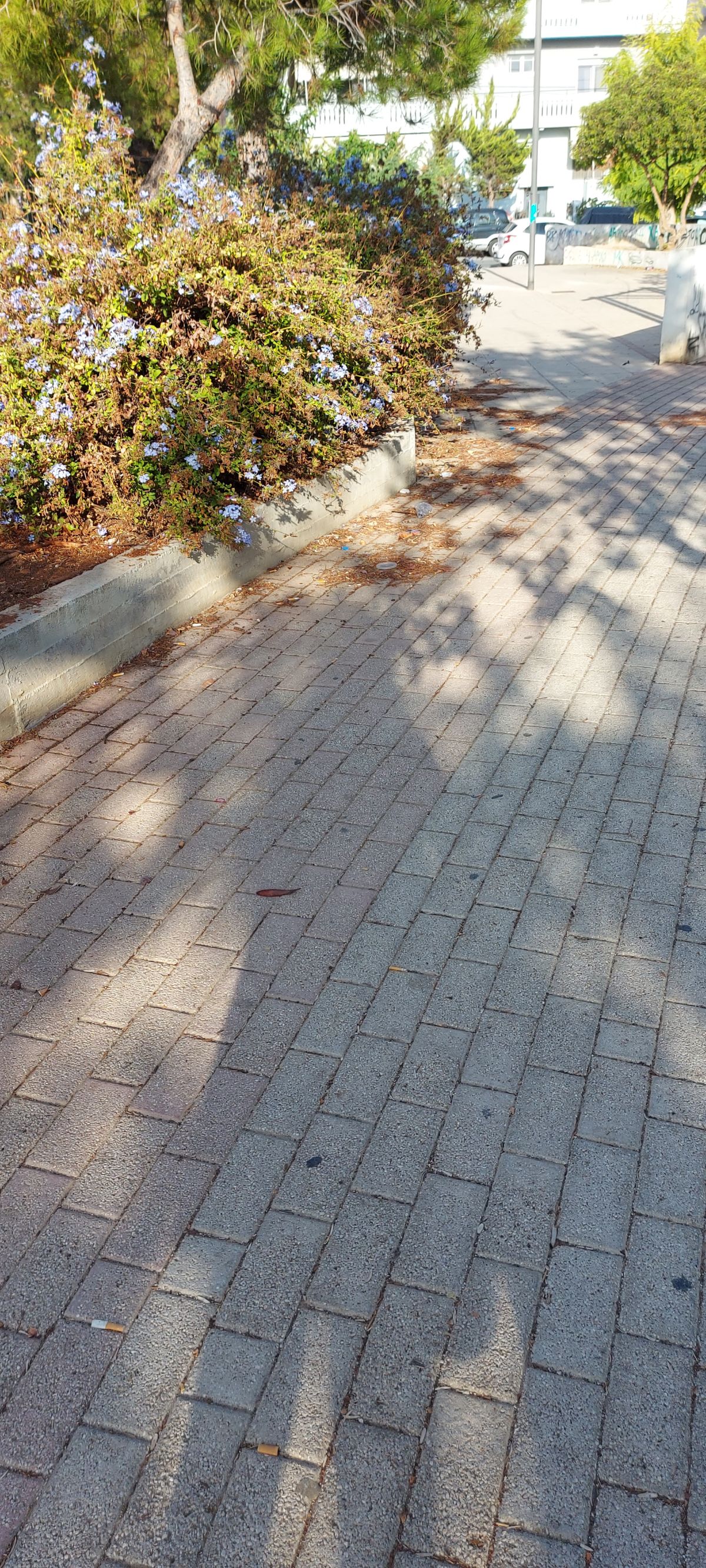 epikindyni paidiki xara 3