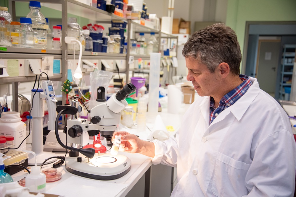 ΙΤΕ ερευνητές