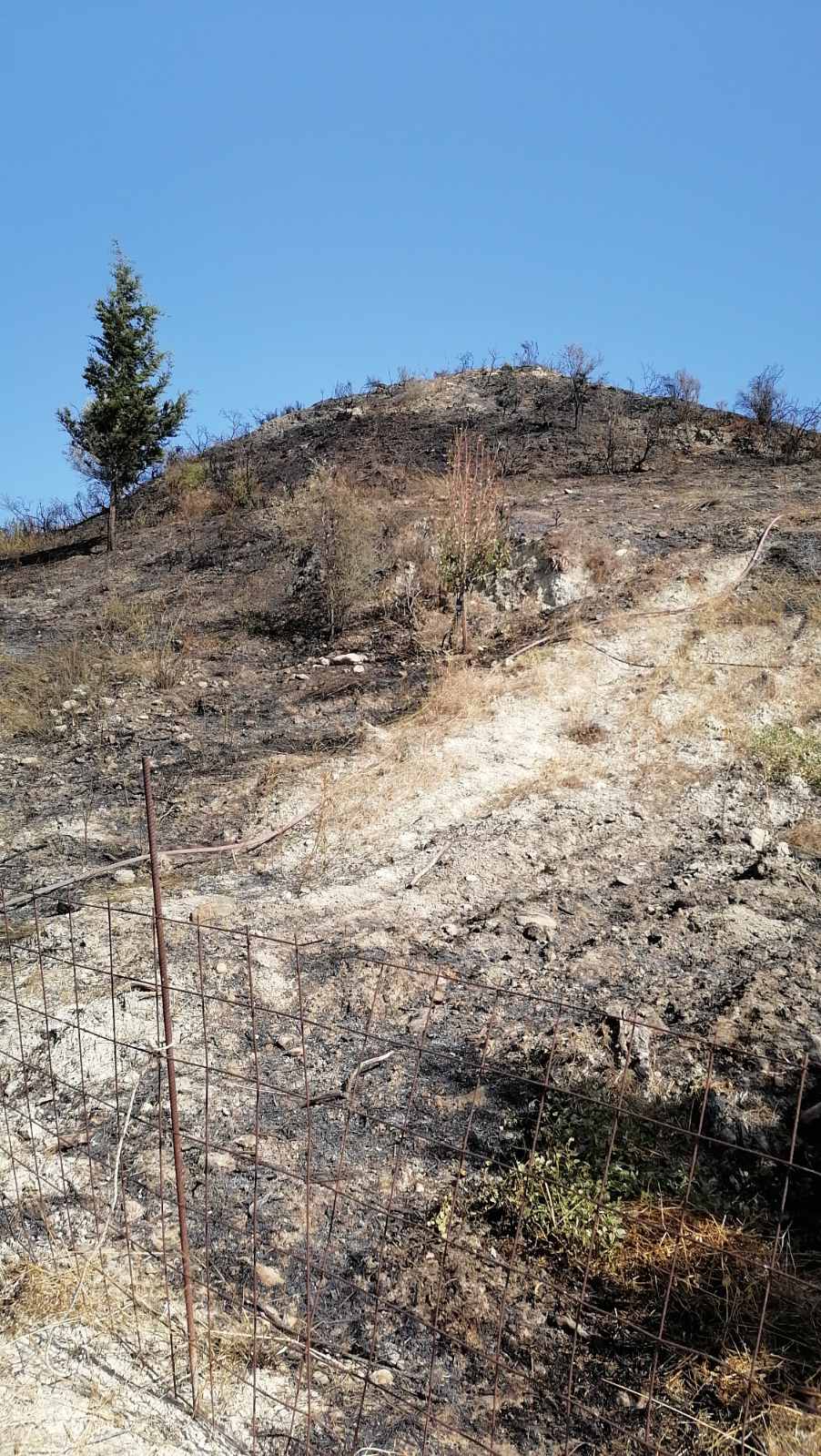 fotia agia varvara 2