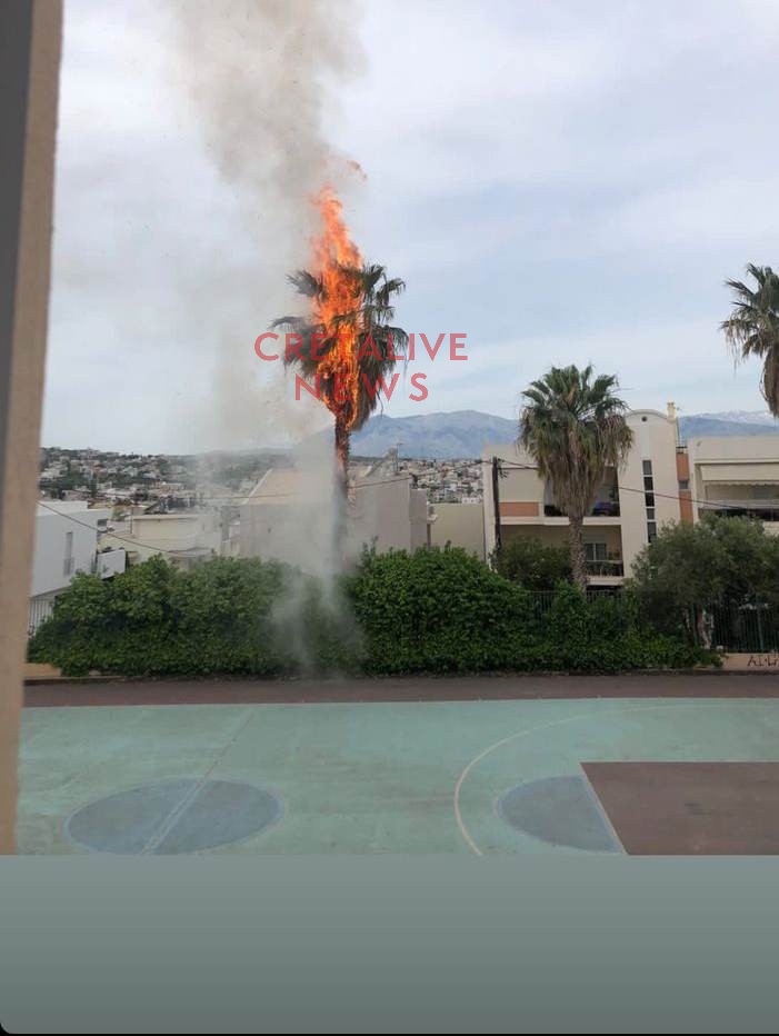 fotia foinikas sxoleio