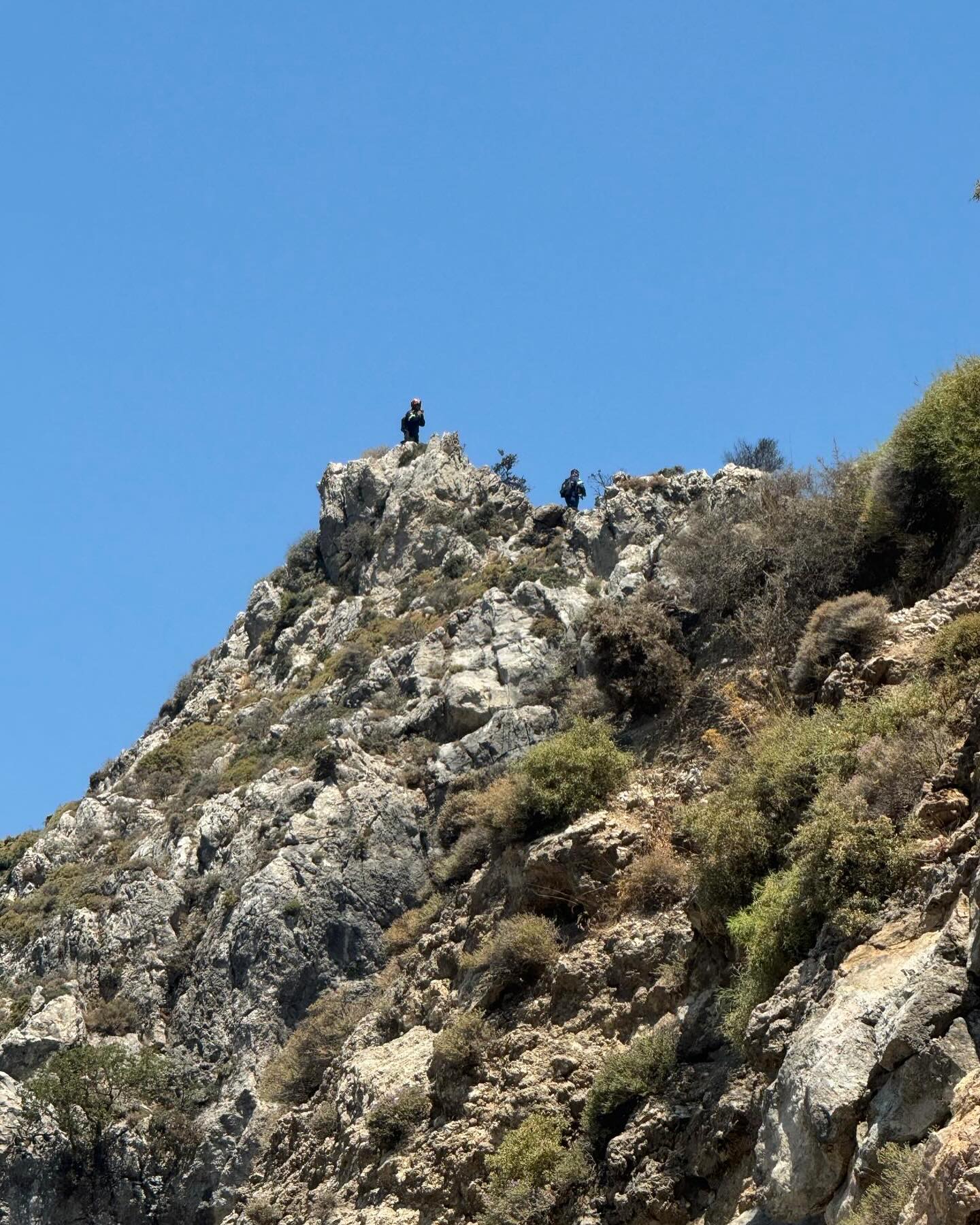 Φωτιά Μεσαύλια