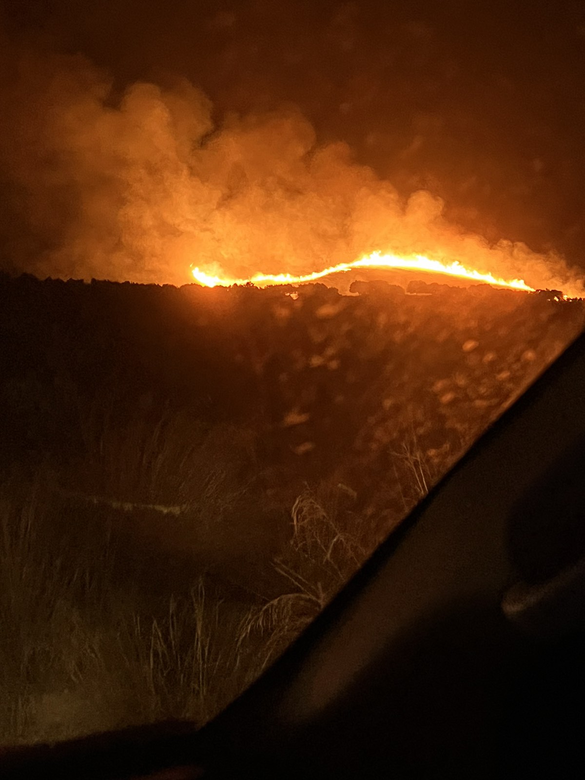 Φωτιά Παρθένι