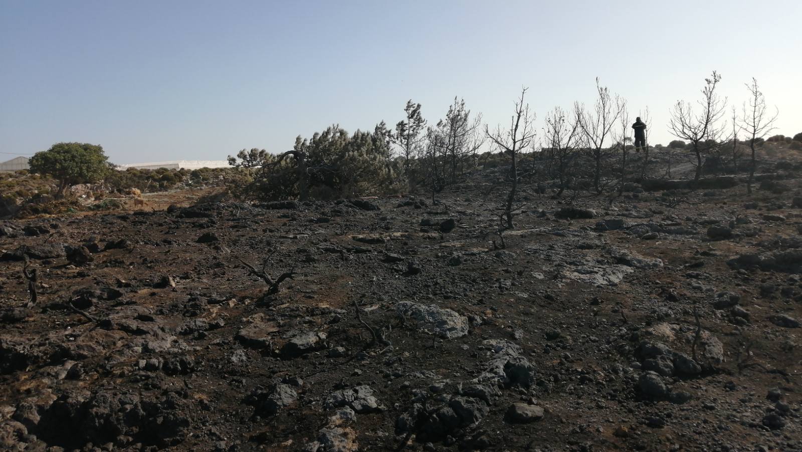 Πρόλαβαν τα χειρότερα οι πυροσβέστες στο Ελαφονήσι - Δείτε φωτογραφίες 