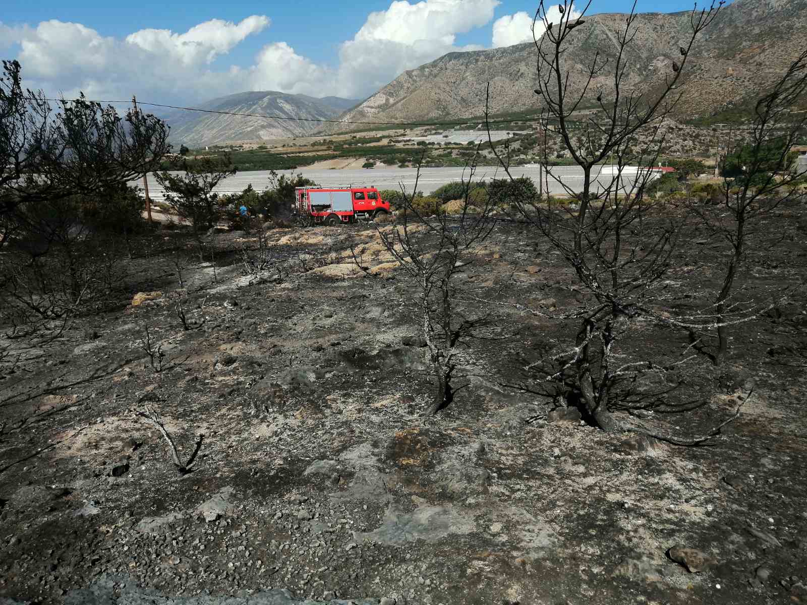 Πρόλαβαν τα χειρότερα οι πυροσβέστες στο Ελαφονήσι - Δείτε φωτογραφίες 