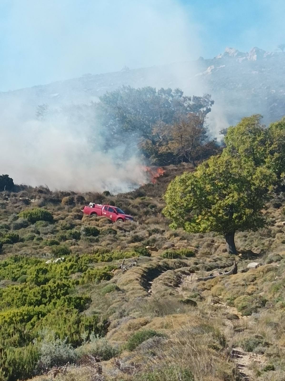 Αστερούσια φωτιά