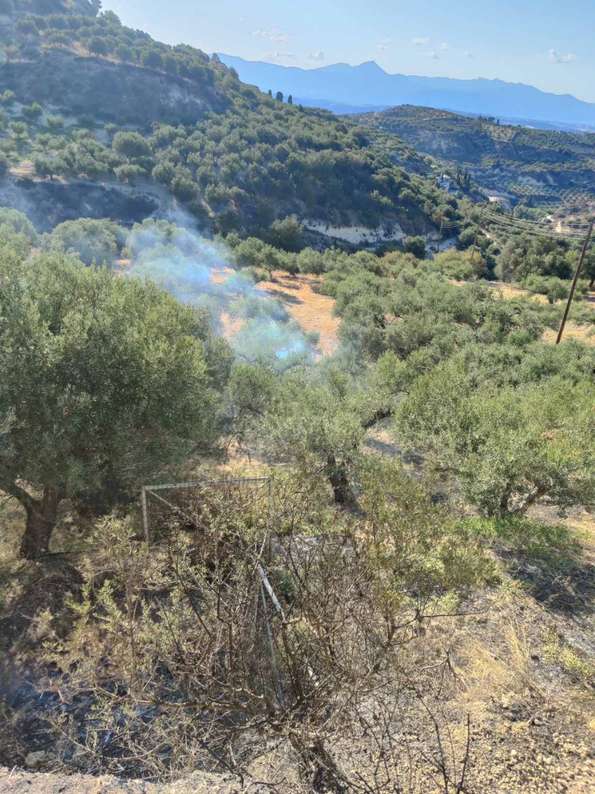 φωτιά Βασιλειές