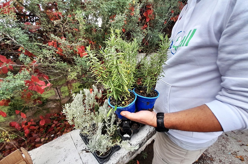 «Green School by Τράπεζα Χανίων» για την ενδυνάμωση της περιβαλλοντικής συνείδησης των μαθητών