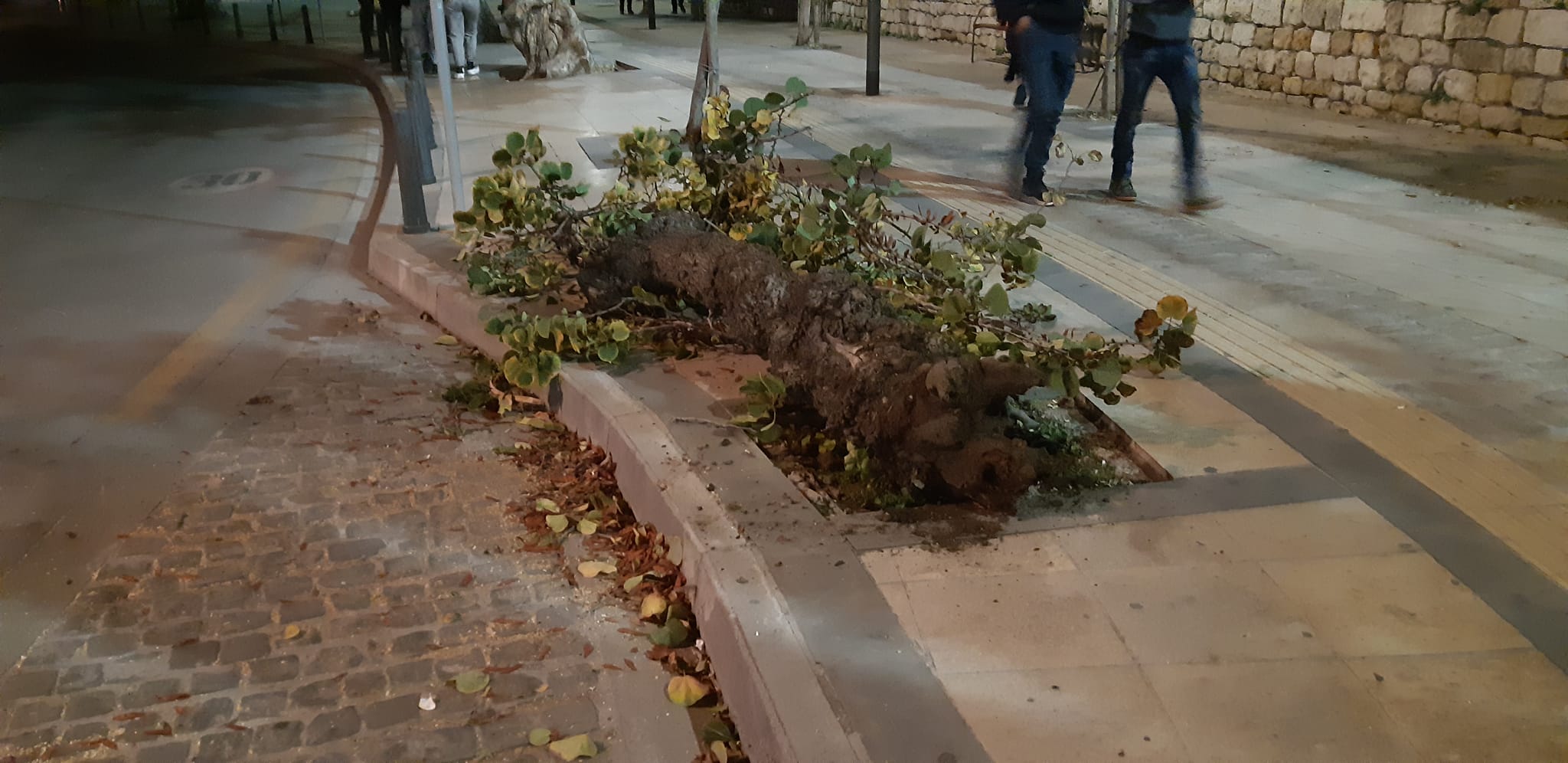 φωτογραφία Γιάννης Σκουλάς