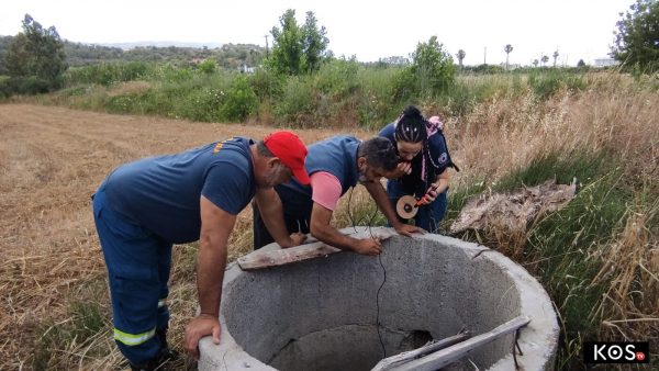 Αναστάζια Κως Εξαφάνιση εγκληματική ενέργεια