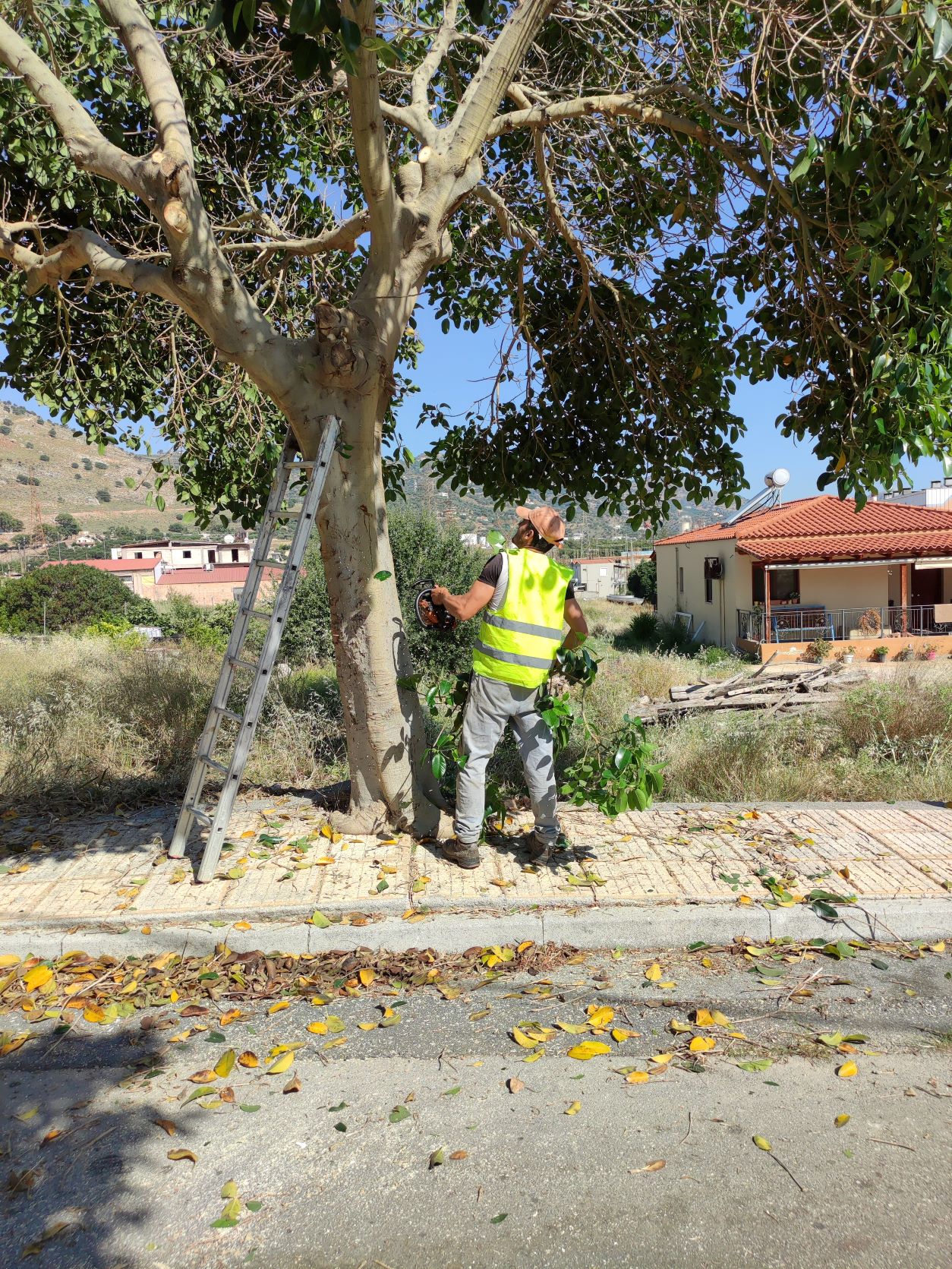 Γάζι καθαρισμοί