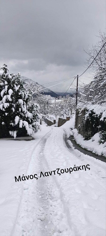 Γερακάρι Αμαρίου