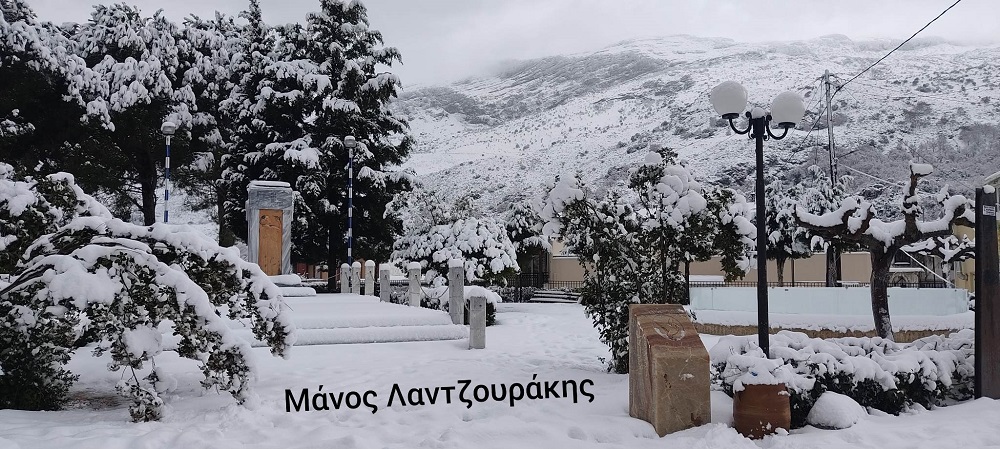 Γερακάρι Αμαρίου