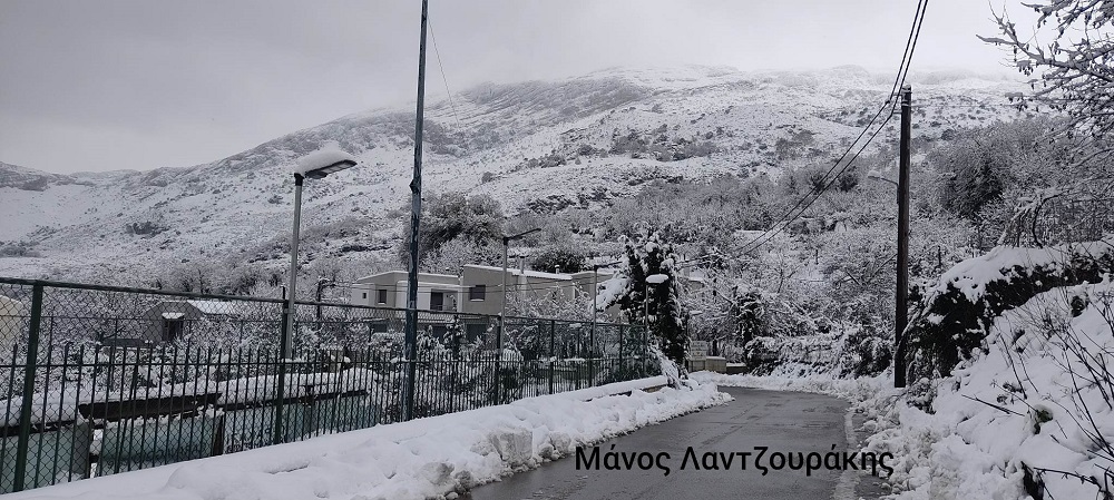 Γερακάρι Αμαρίου