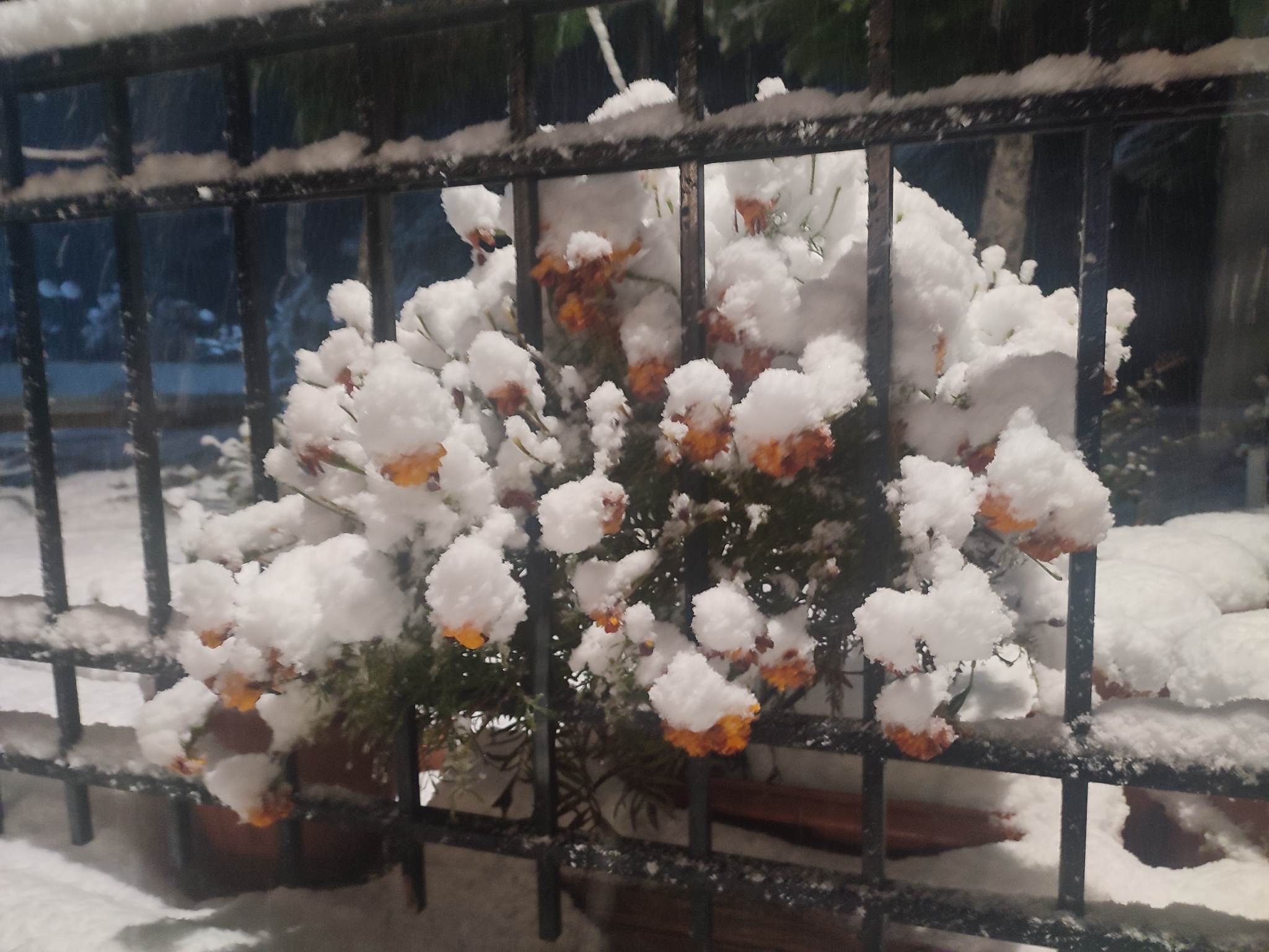 Γερακάρι χιόνια