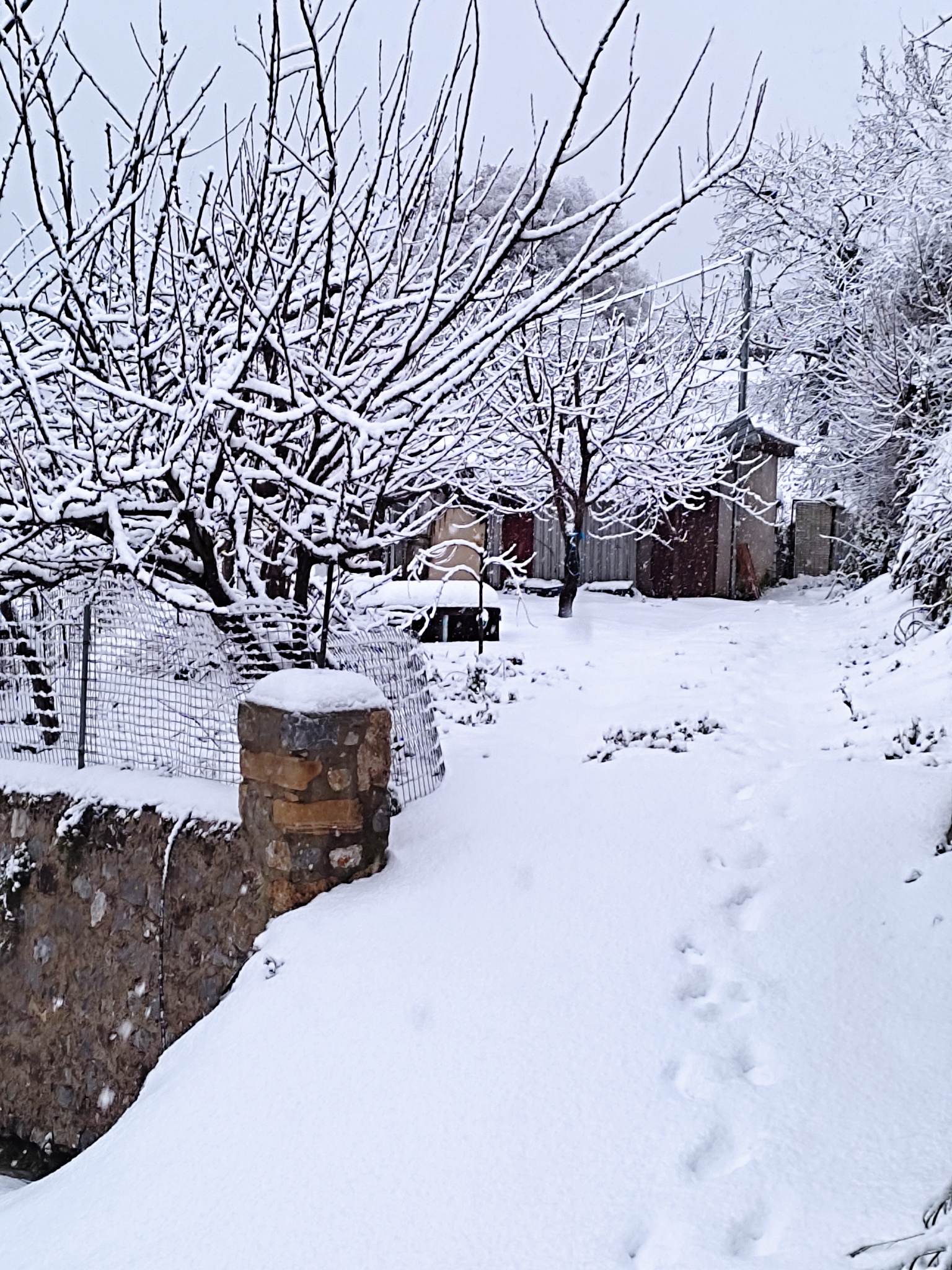 Γερακάρι χιόνια