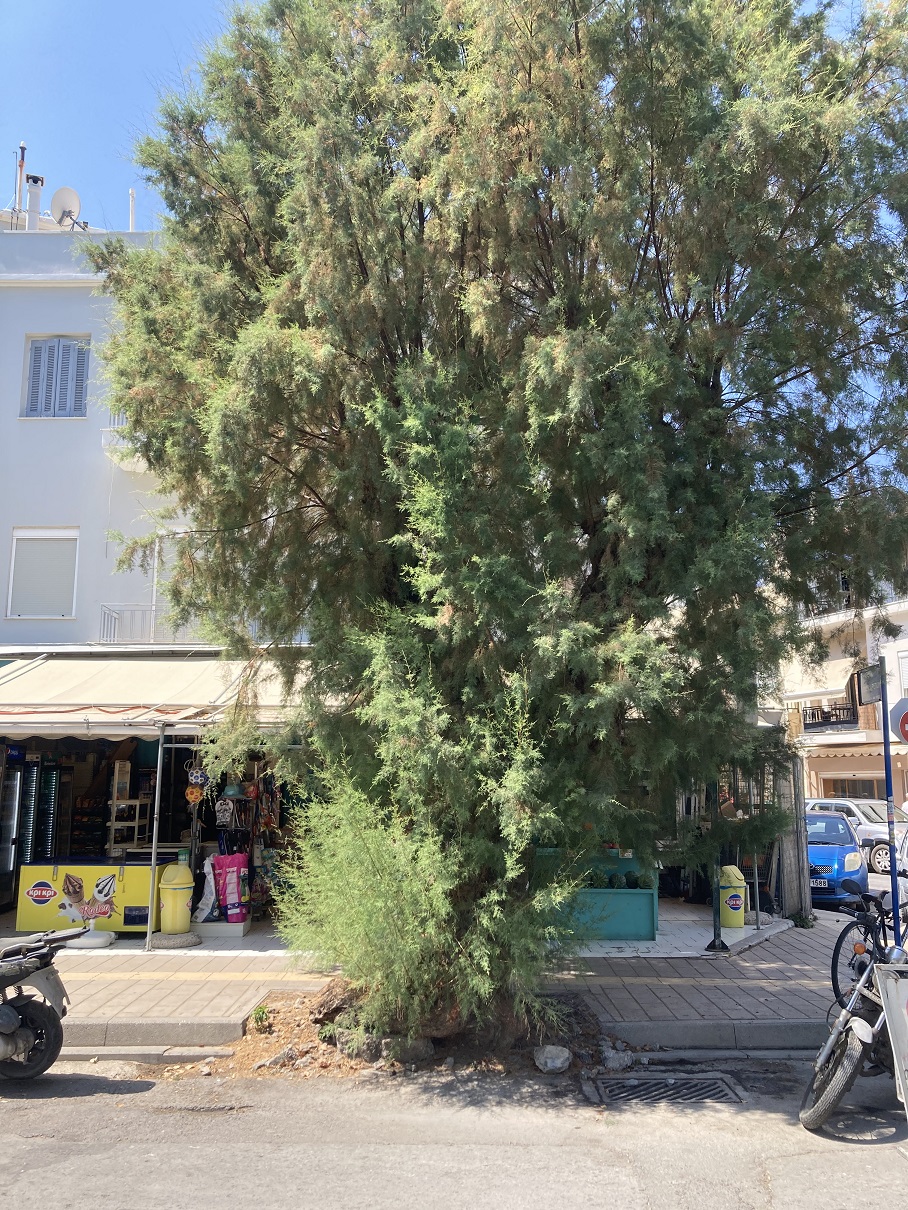 Λεωφόρος Δημοκρατίας