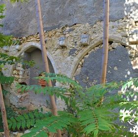 "Αν θες να μάθεις την ιστορία μιας πόλης, ακόλουθα τους κάδους της"