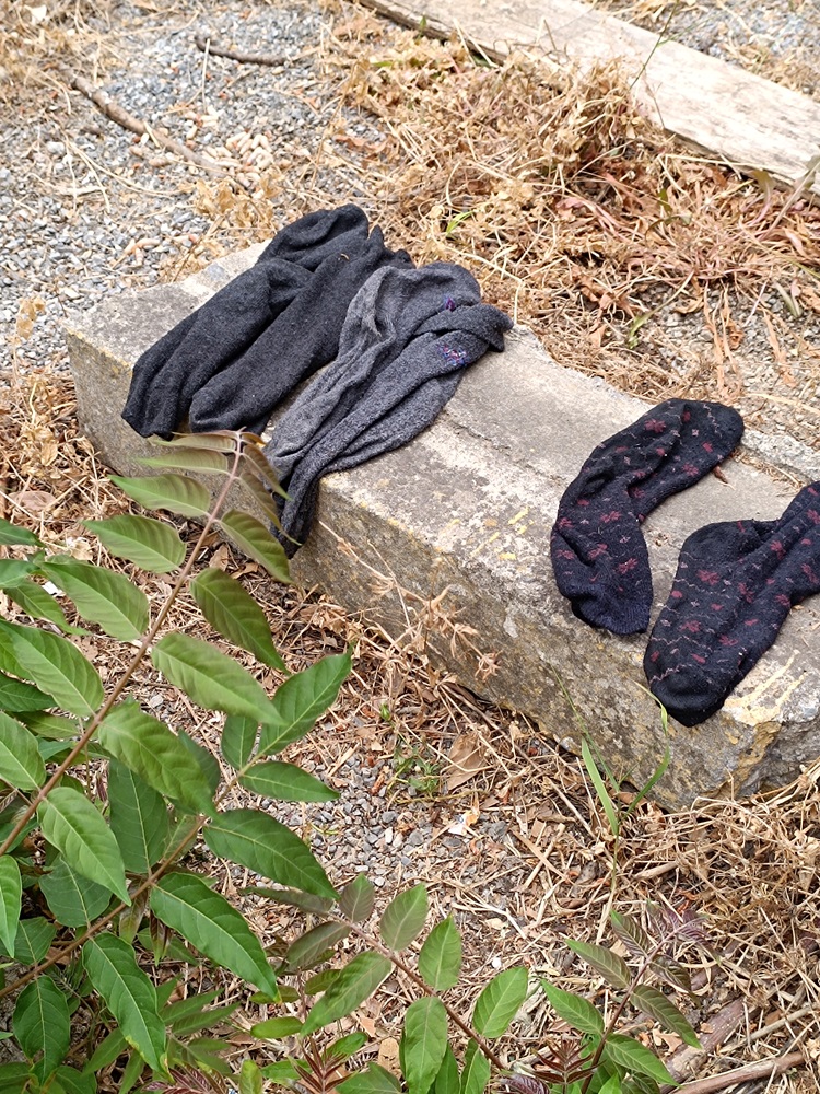 Καινούργια Πόρτα