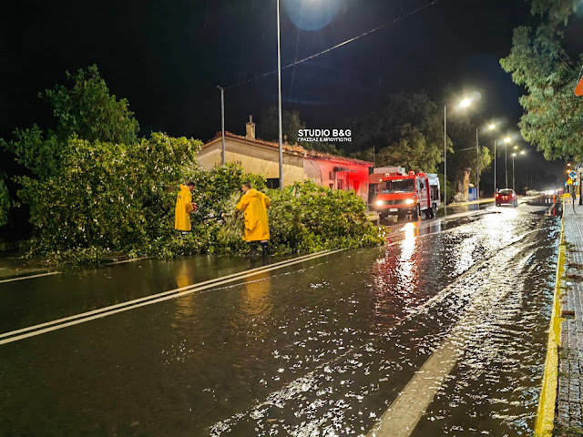 Κακοκαιρία Elias: Πτώση δέντρου στη Δαλαμανάρα Αργολίδας