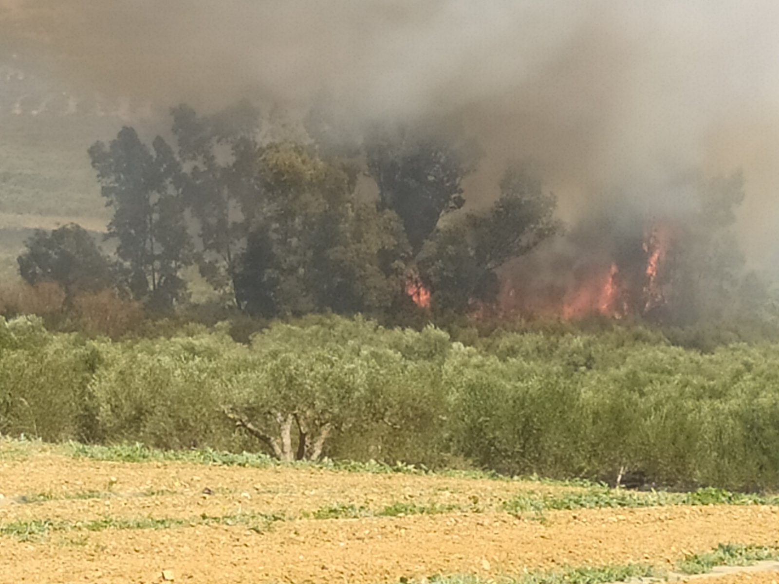 Φωτιά Καλύβια