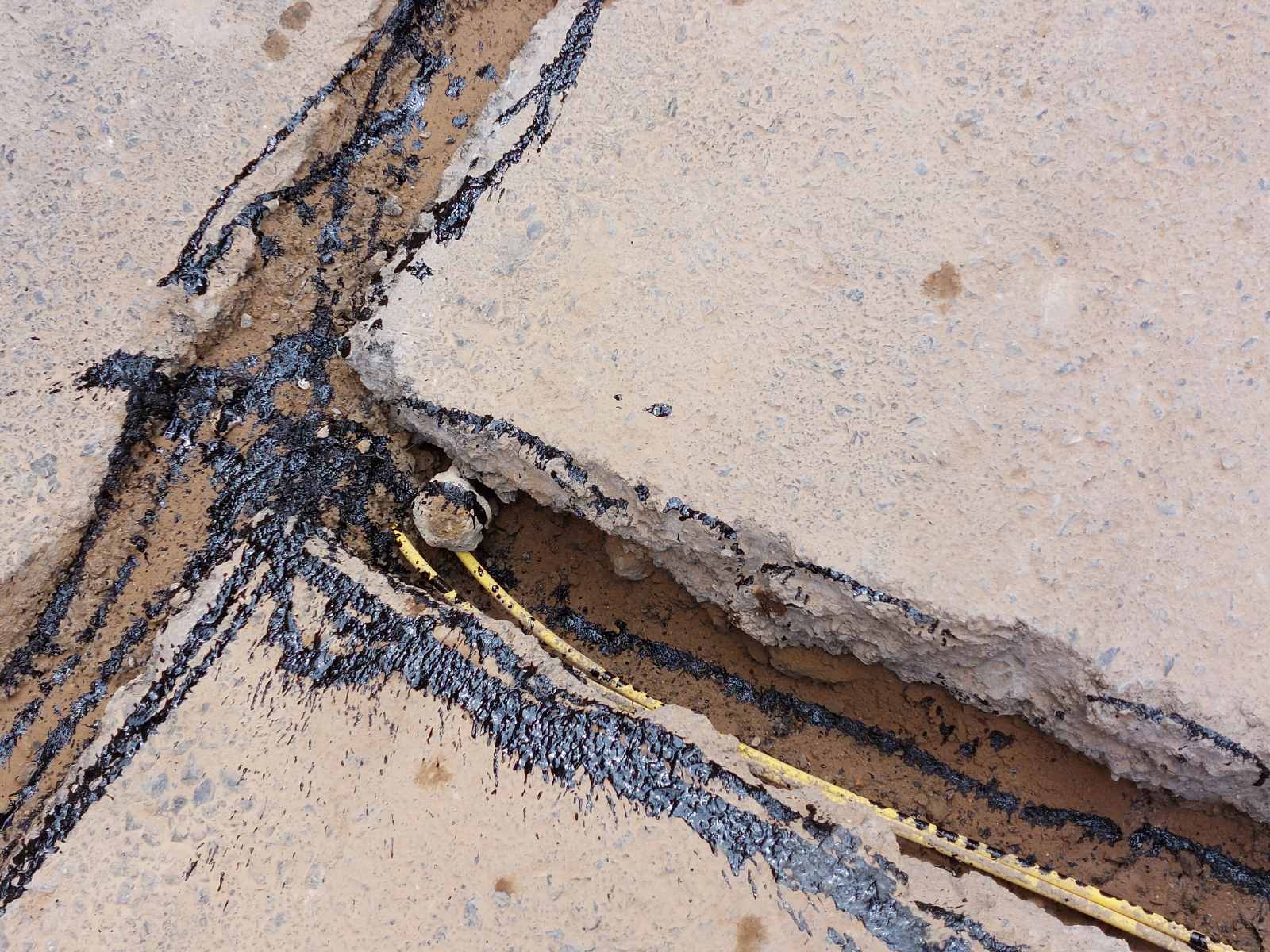 kalodia optikes ines2