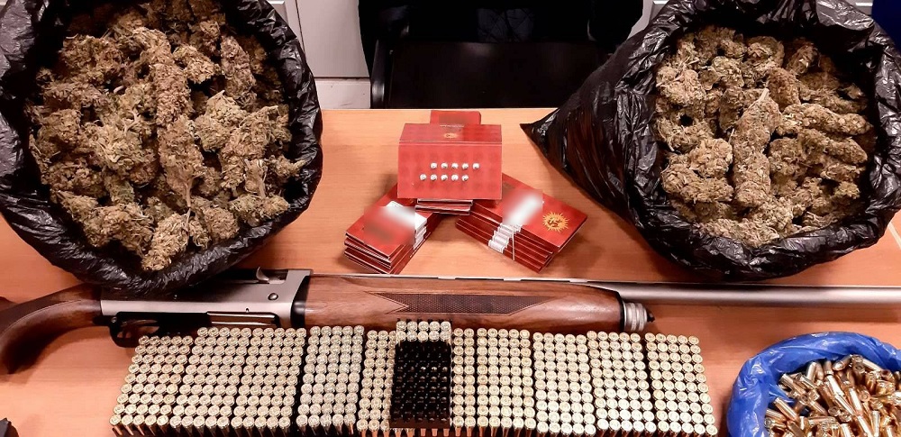 Κάνναβη Ζωνιανά