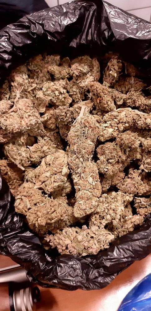 Κάνναβη Ζωνιανά