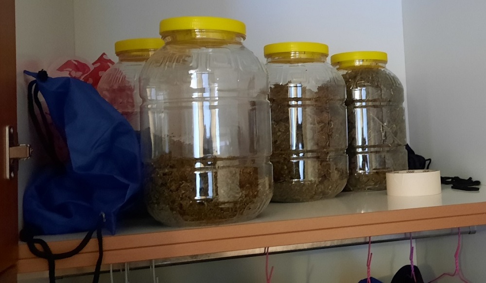 ναρκωτικά κάνναβη κοκαΐνη