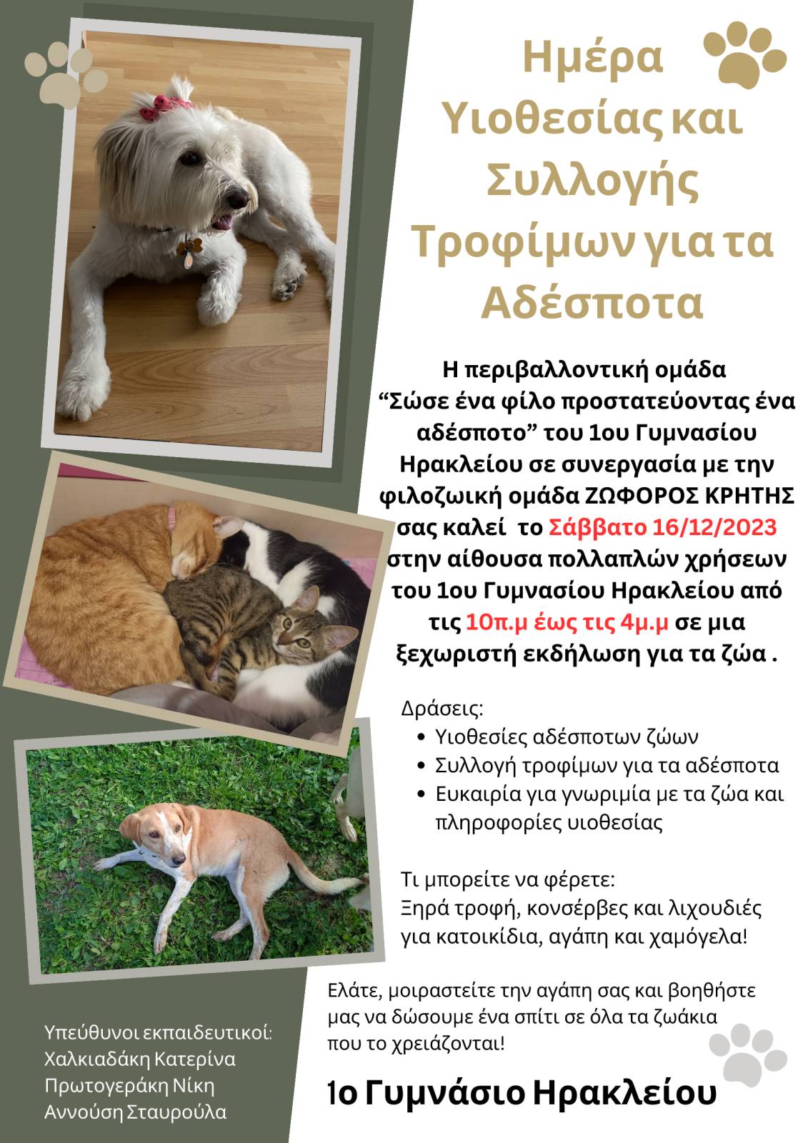 Καπετανάκειο δράση αδέσποτα