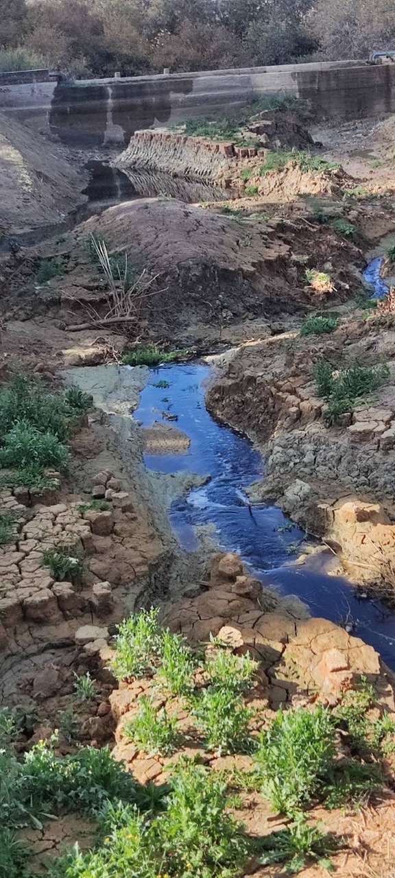 κατσιγαρος