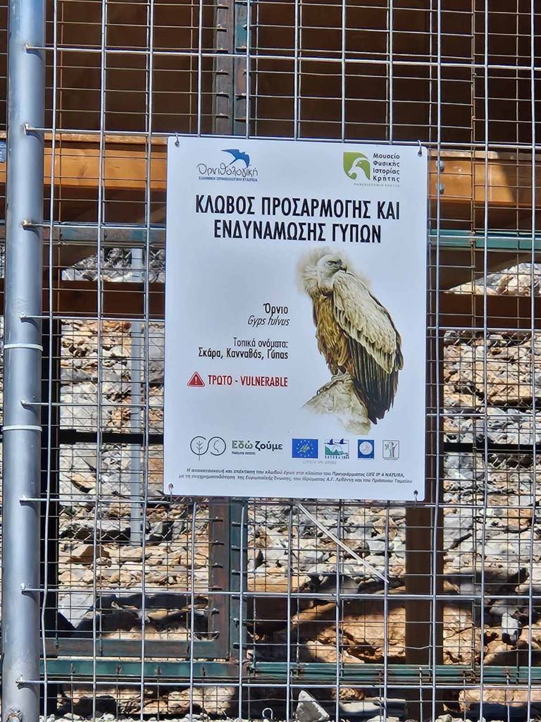 Επίσκεψη στον κλωβό φιλοξενίας και εγκλιματισμού γυπών και άλλων ειδών ορνιθοπανίδας στην θέση Αμπελάκια, στην Γέργερη Εξωτερικός