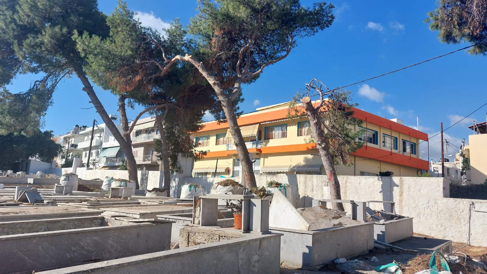 kommena dentra agios konstantinos 5