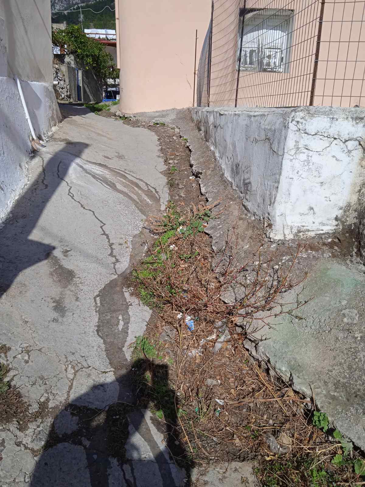 Κουστογέρακο Χανιά