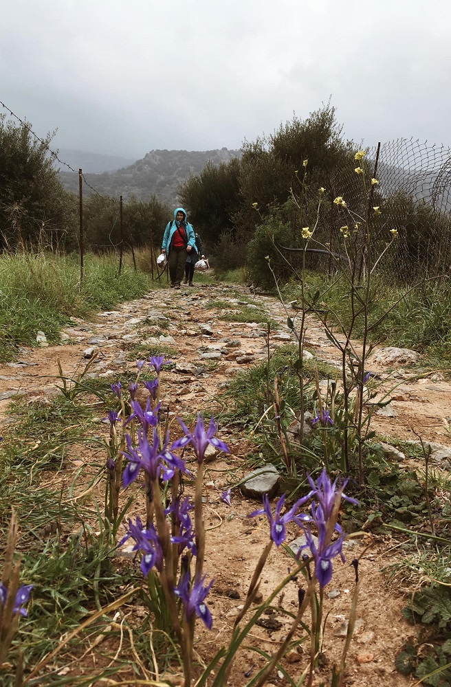 Κριτσά πεζοπορία