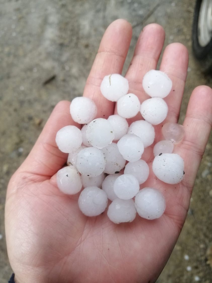 Λαγούτα, φωτογραφία Εργίνα Μπριτζολάκη