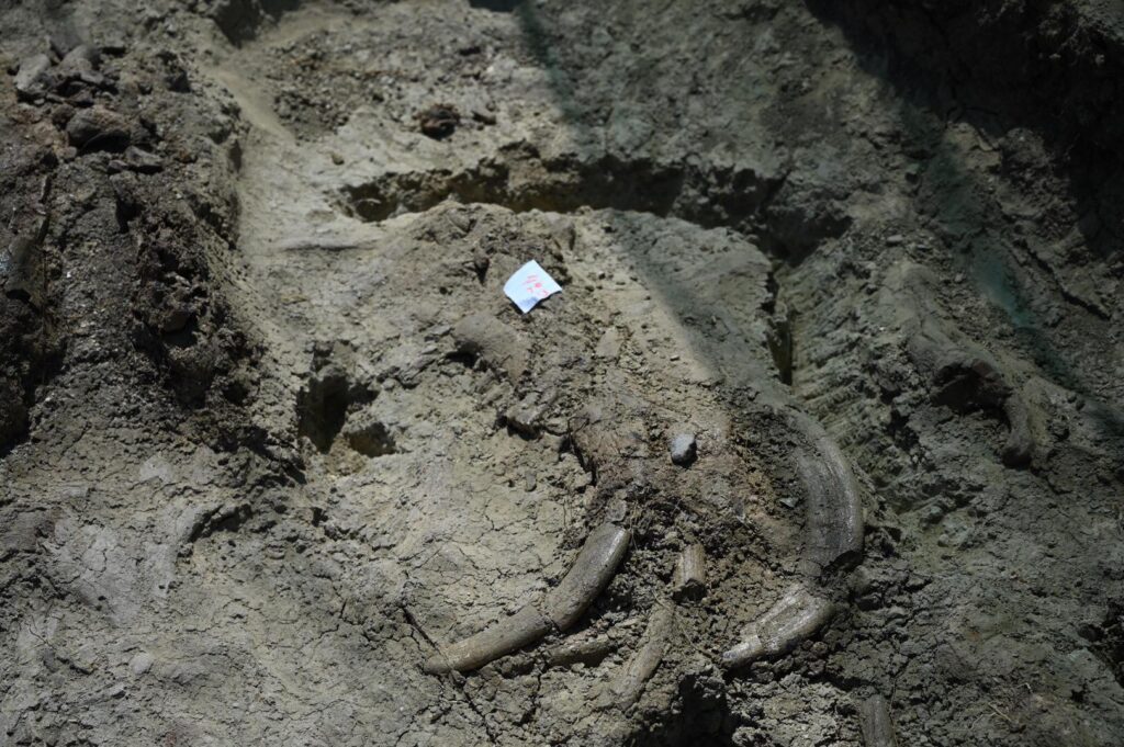 φωτογραφία ΕΡΤ