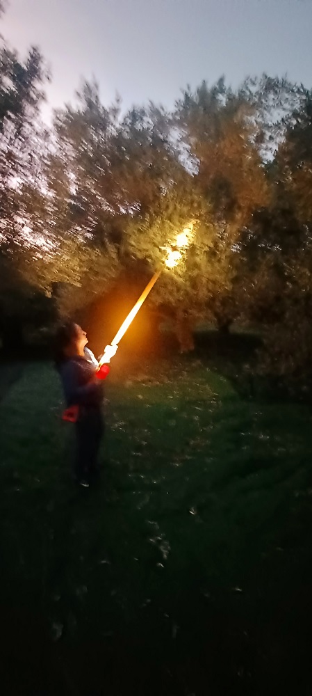 λιομάζωμα νύχτα