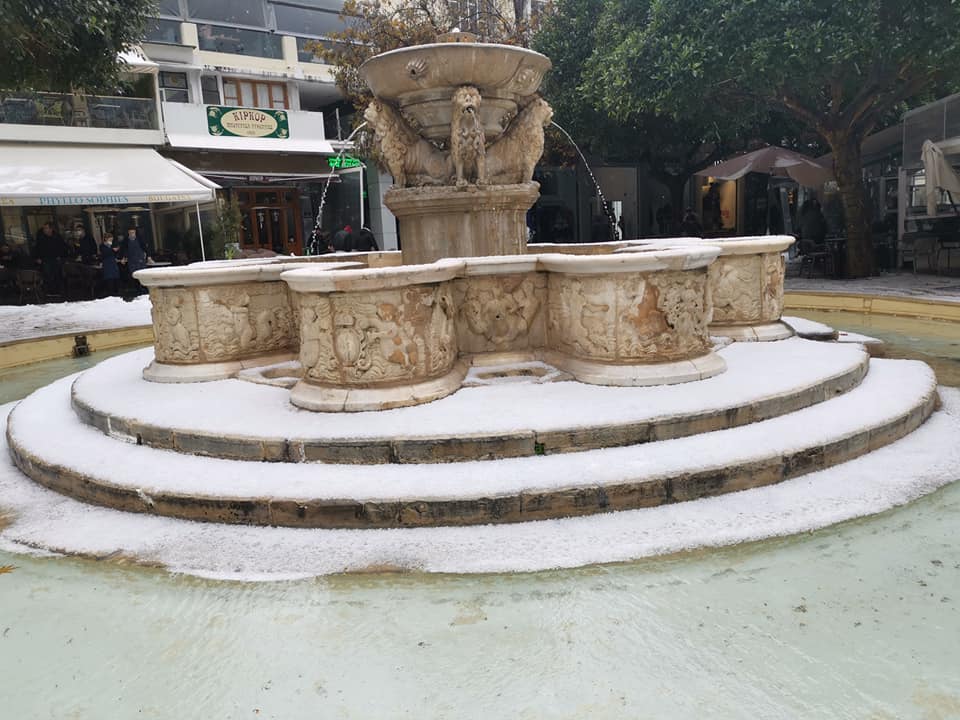 Λιοντάρια χιόνια