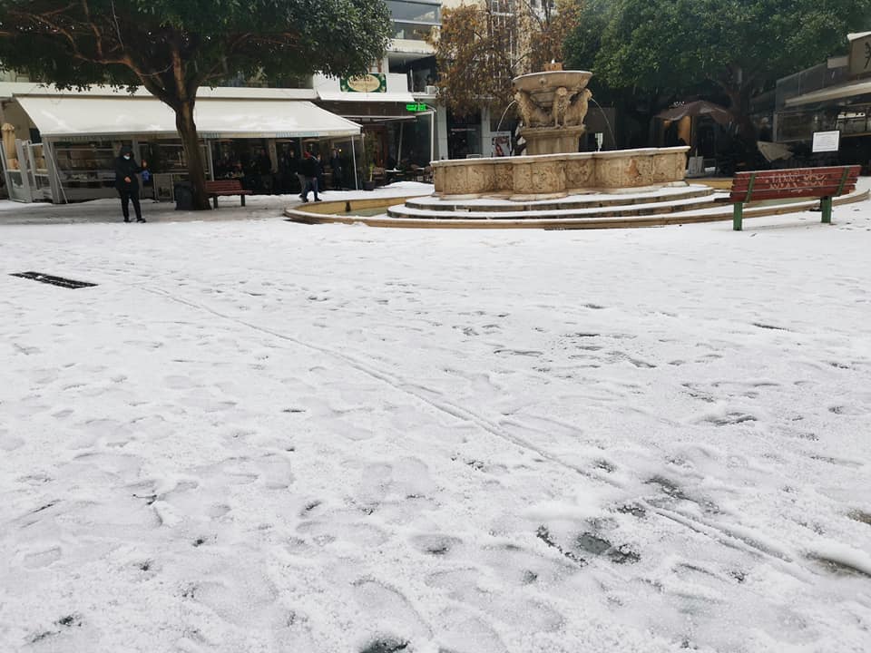 Λιοντάρια χιόνια