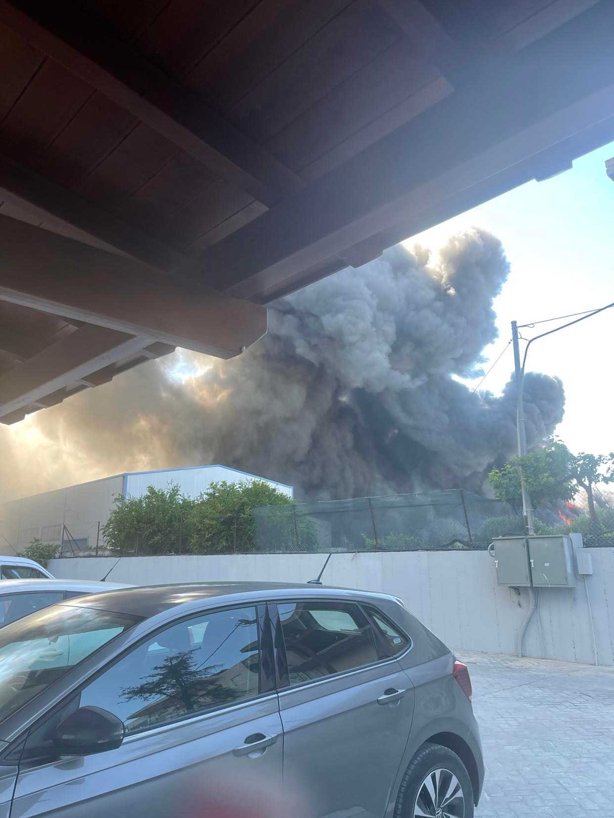 Μαλάδες φωτιά 