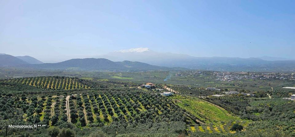 Ψηλορείτης Σκόνη