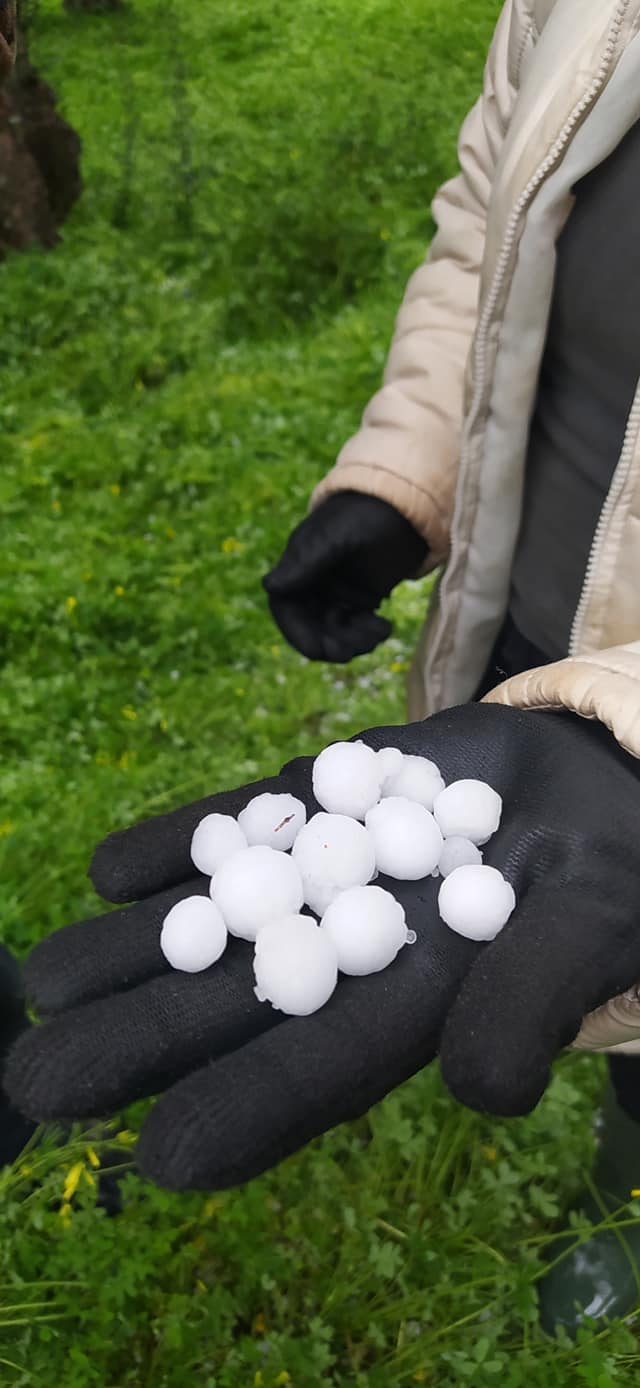Μάρθα Δήμου Βιάννου - Φωτογραφία Κωστας Σταυρακακης από Μετεωκρήτες