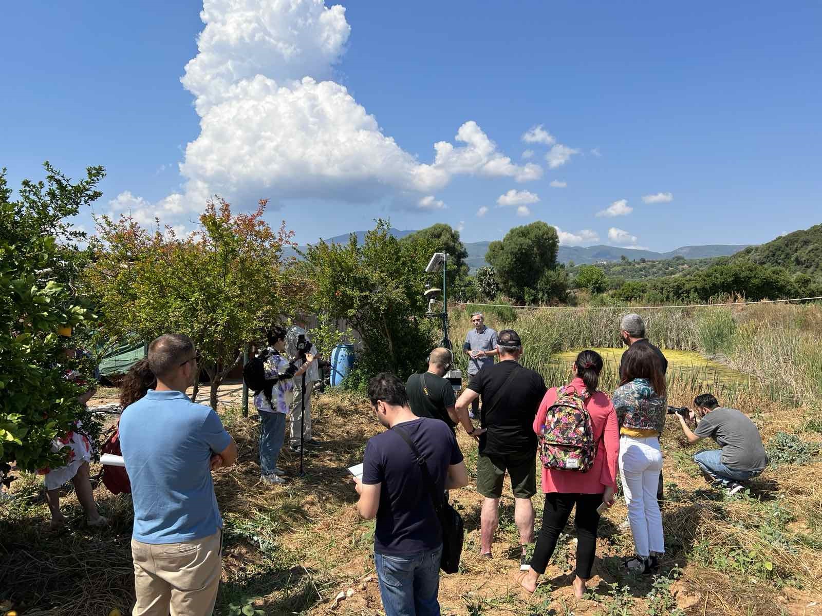 Μάρκα Καταναλωτή